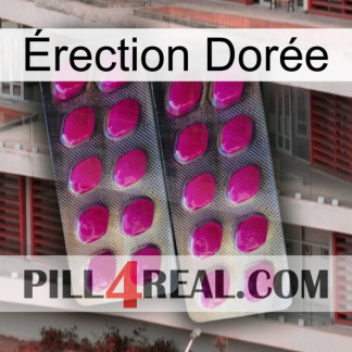 Érection Dorée 10